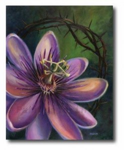 The_Passion_Flower
