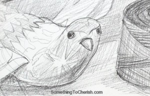 bird-sketch-head-gesture
