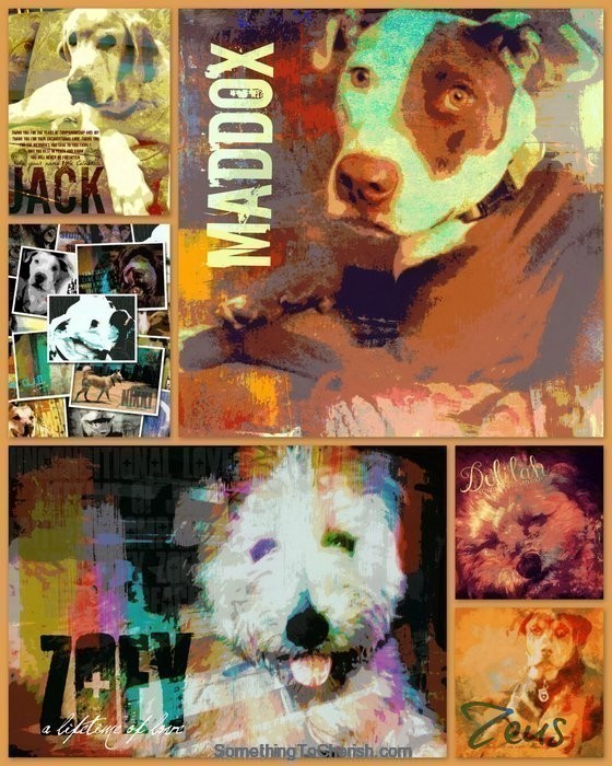 Pet Fusion Collage by Brandi Fitzgerald