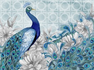 Peacock Plumes Collection Nicole Tamarin
