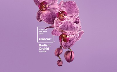 Radiant Orchid: 2014 Pantone Color of the Year